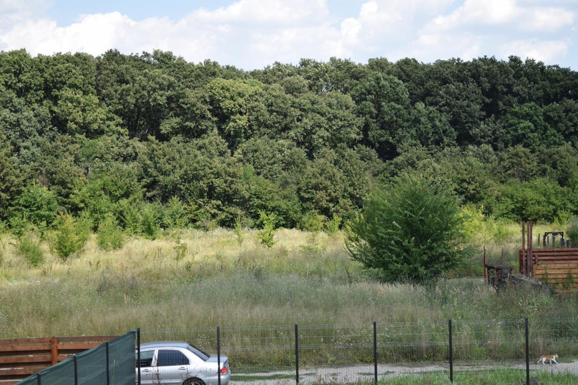 Pensiunea Corbeanca - Cazare Si Evenimente Exterior foto